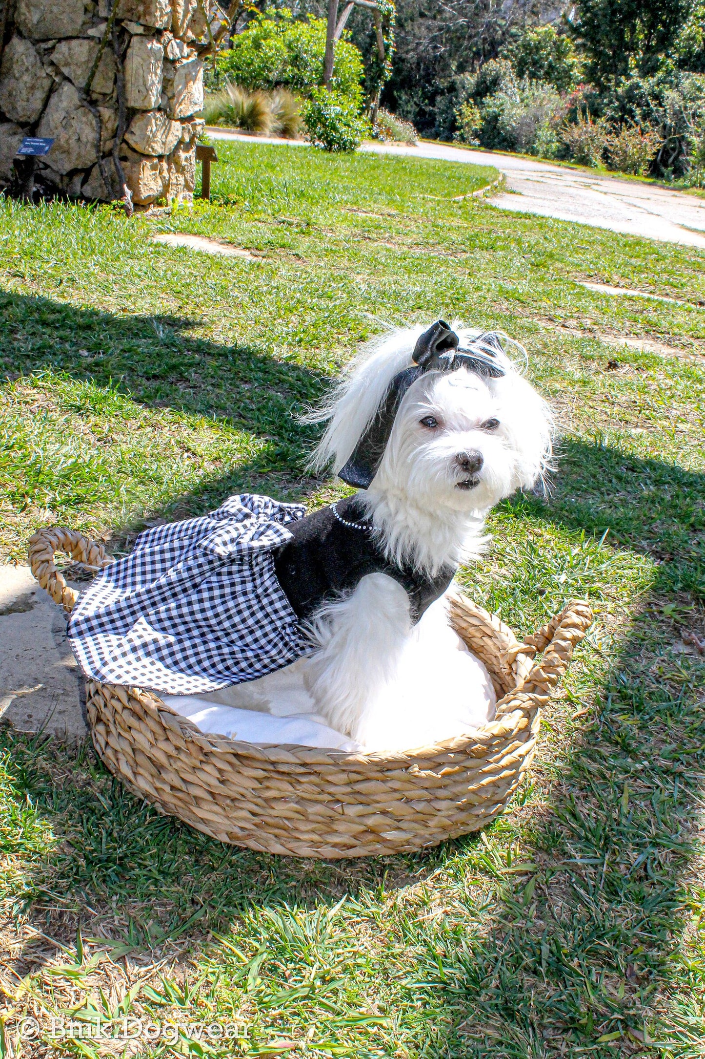 Vestido Joya